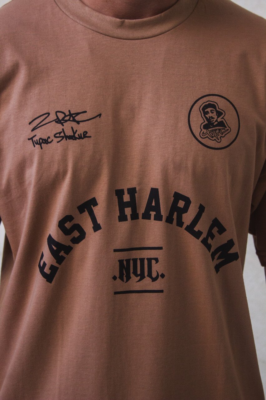 fotos site vento 203 easy resize com